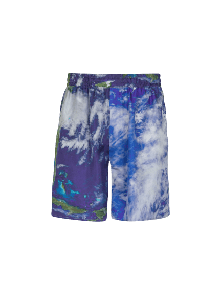 Silk shorts with Earth print