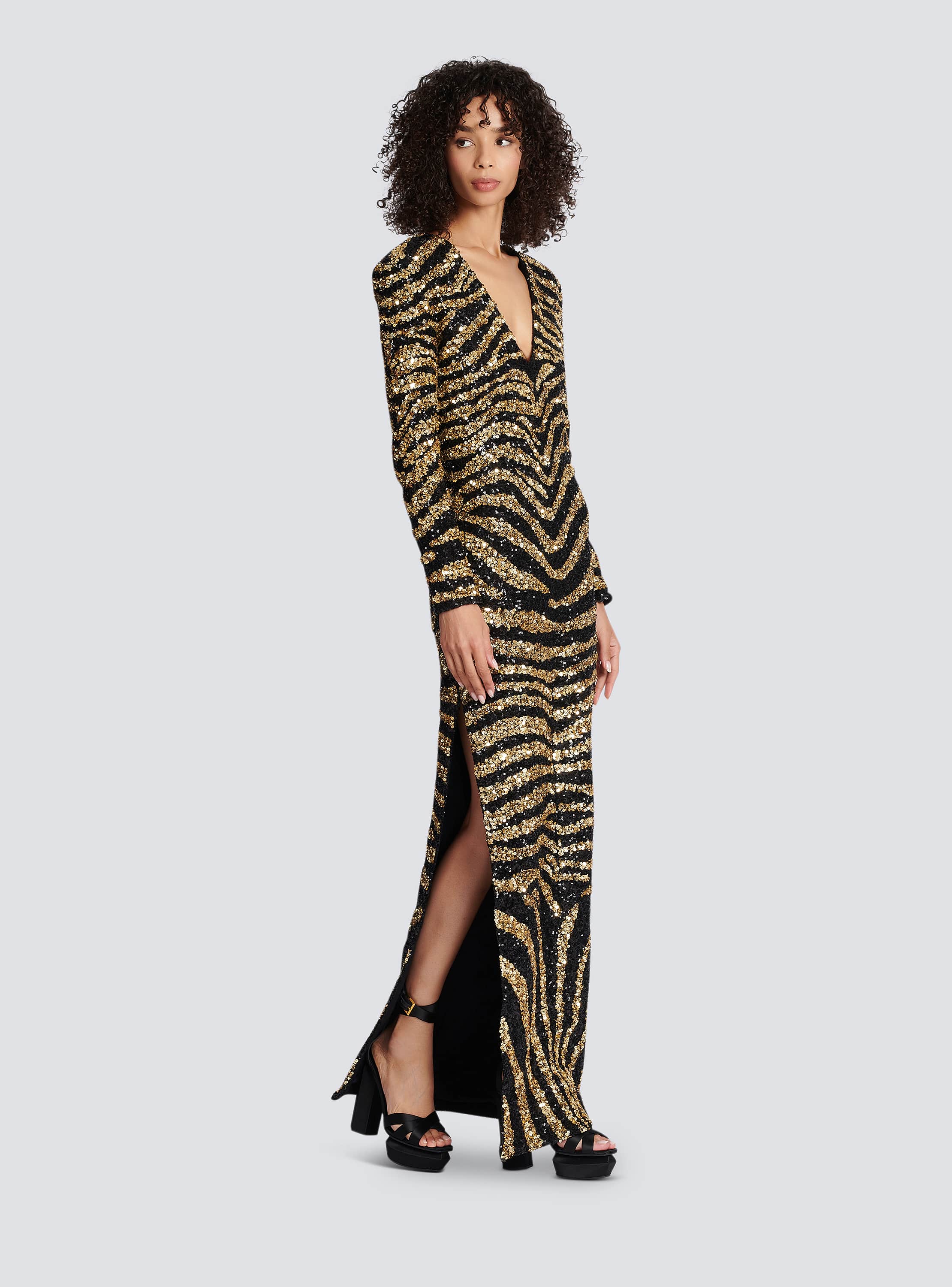 Embroidered zebra long dress