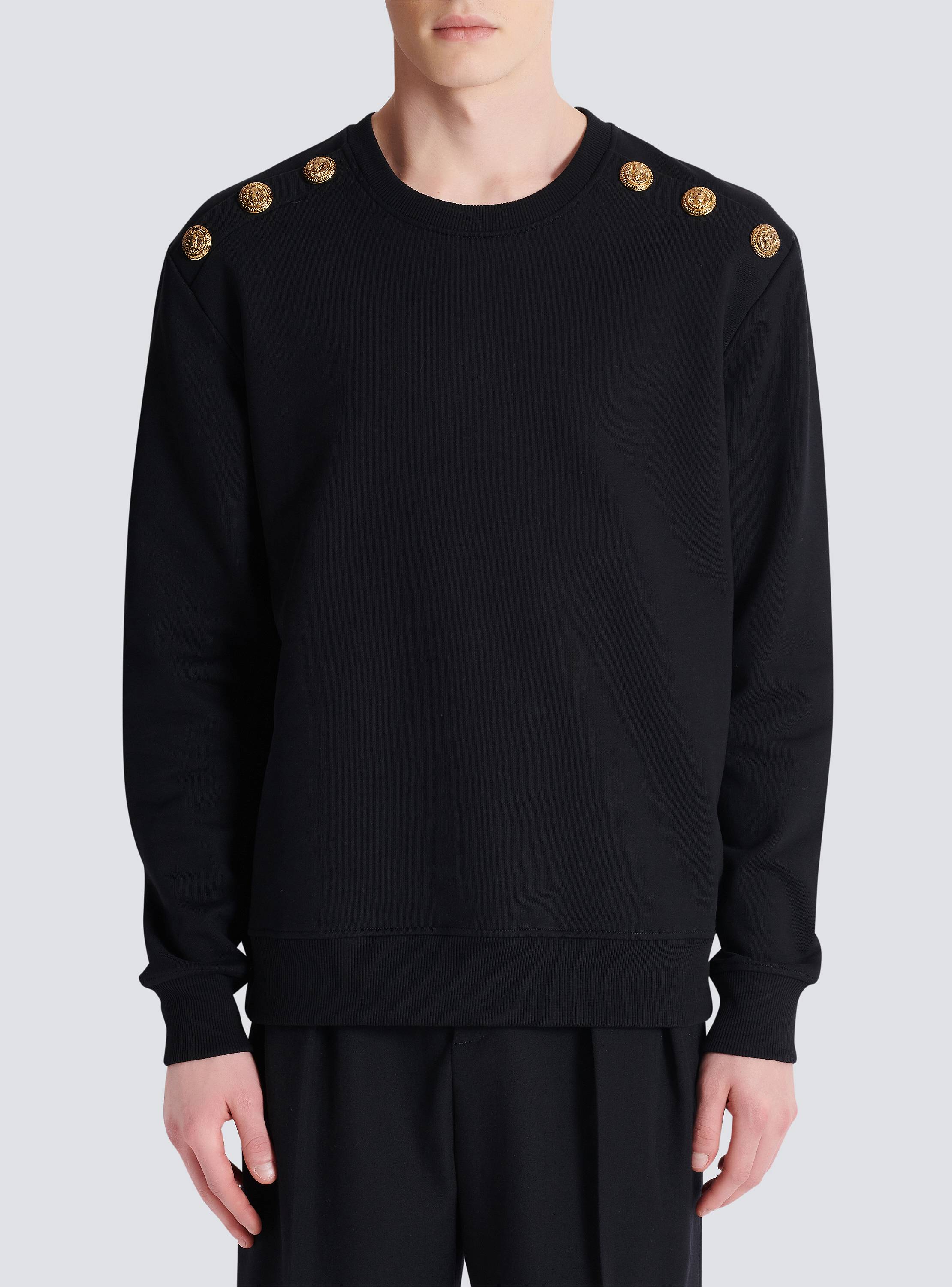 Sweater with Chain Lion buttons