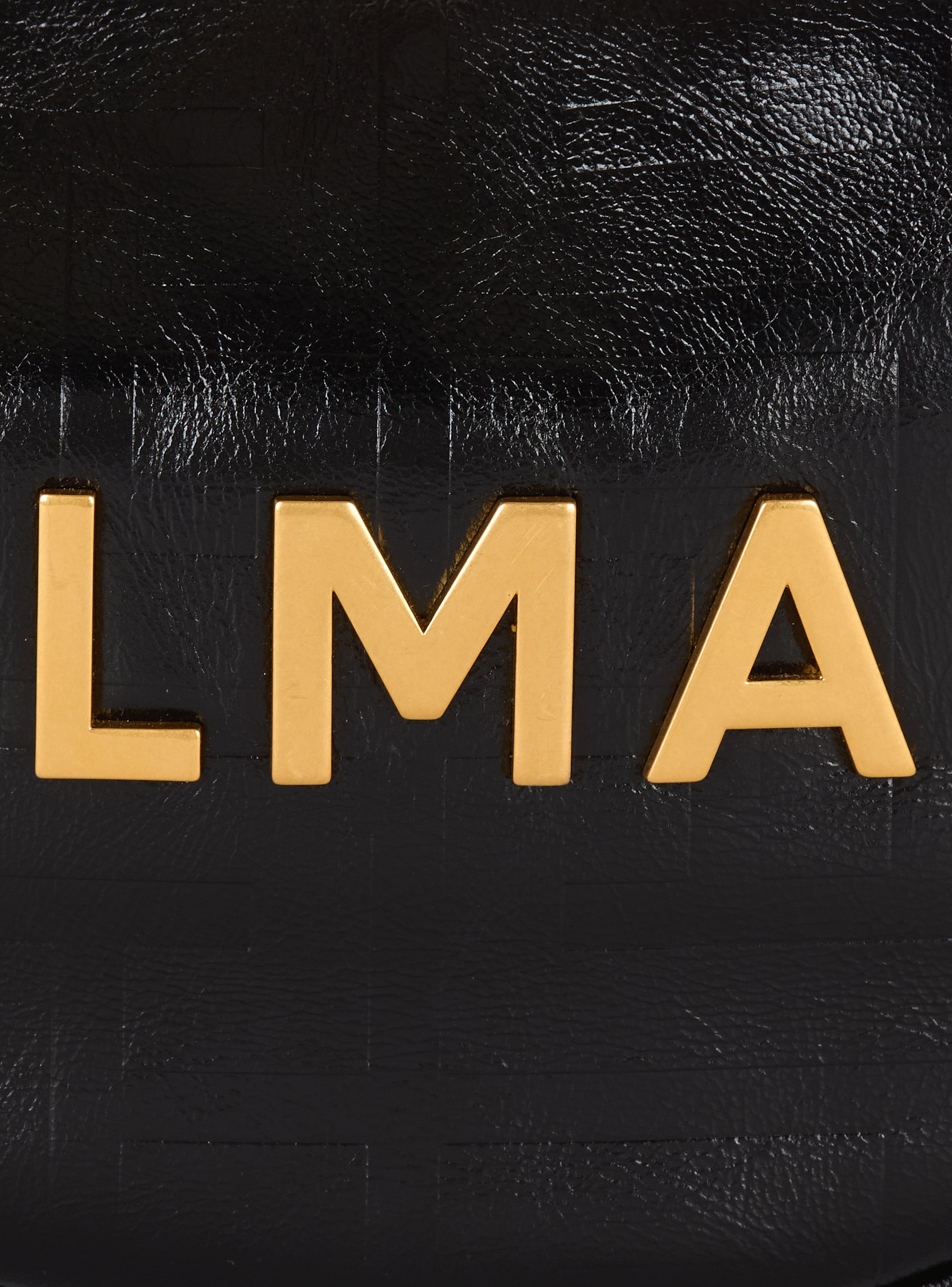 1945 Soft Moon crinkled calfskin leather bag - Women | BALMAIN