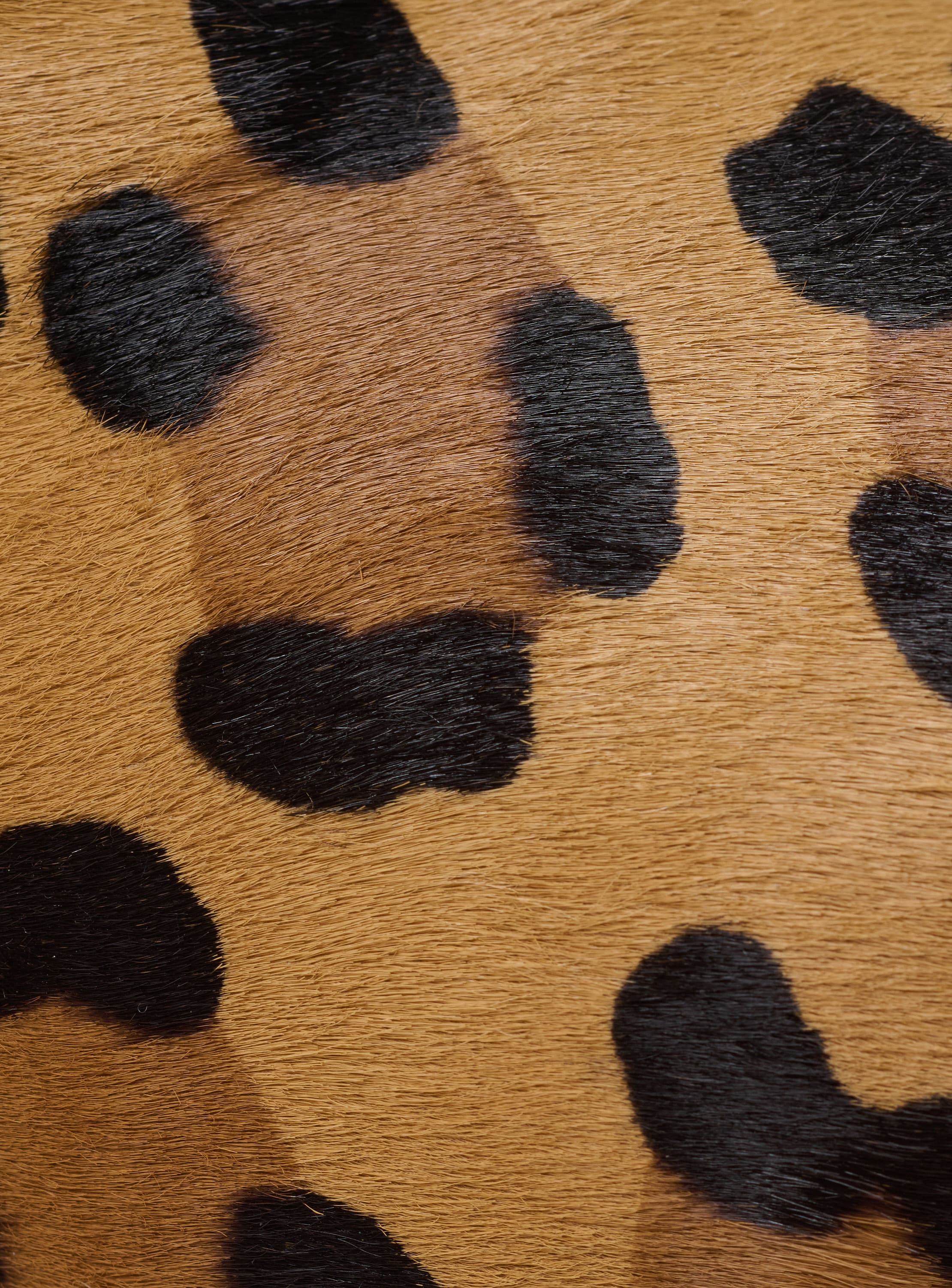 Anthem leopard print ponyskin leather and faux fur mules