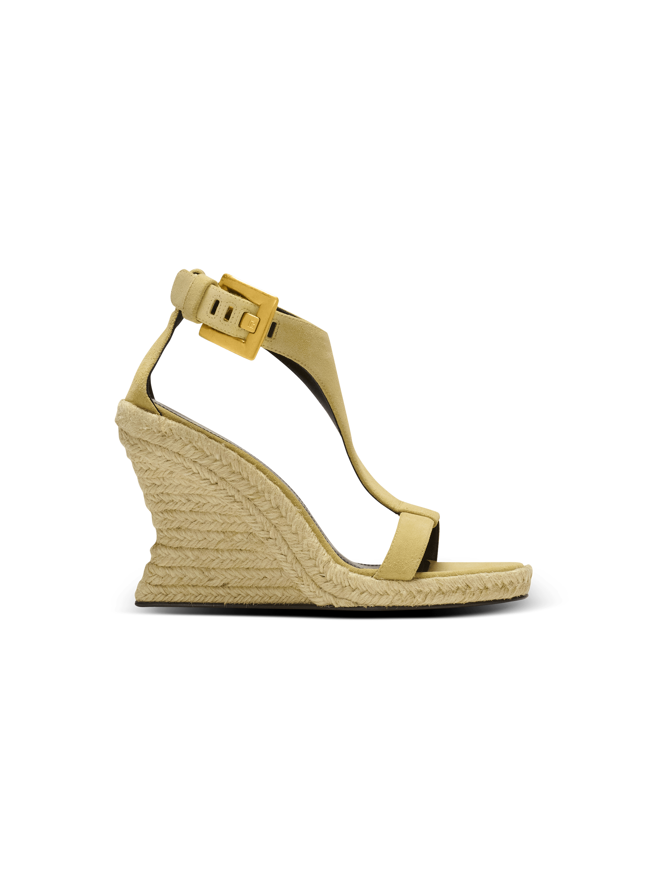 Anthem wedge espadrilles in suede