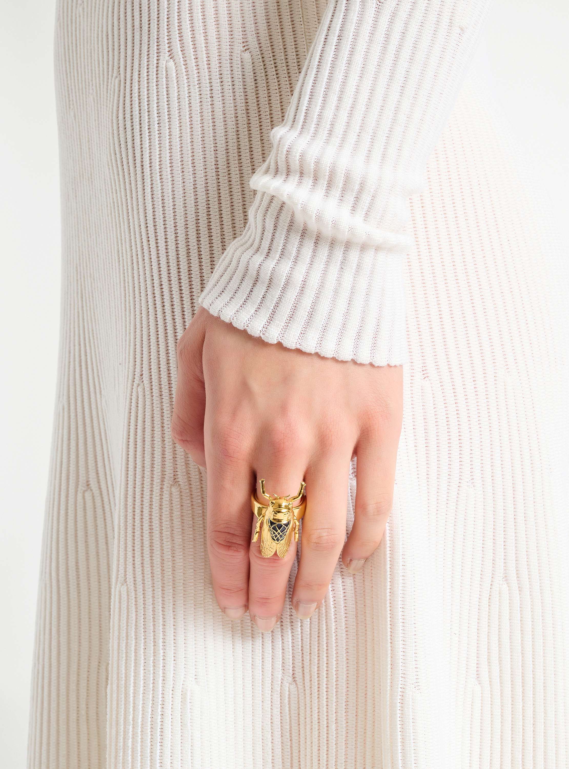 Insect Ring aus Messing und Emaille