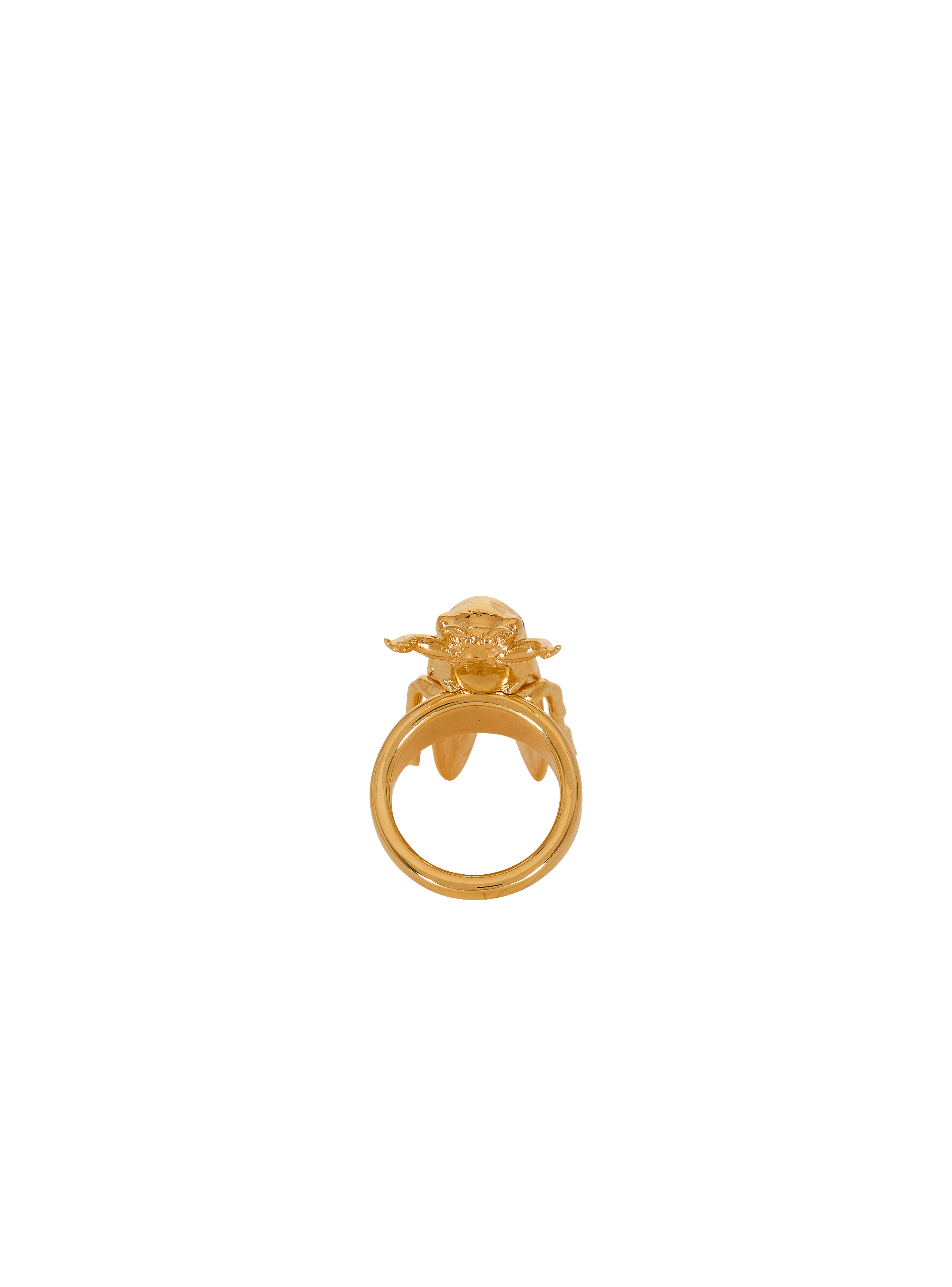 Insect Ring aus Messing und Emaille