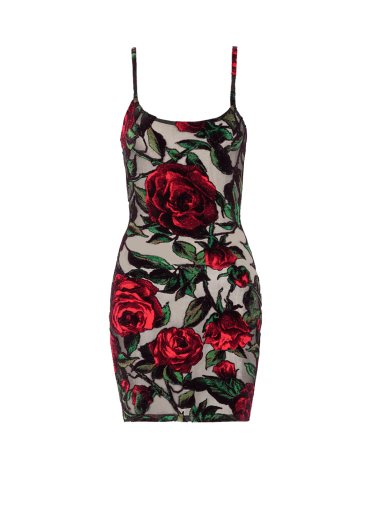 Burnout velvet dress with Rose print