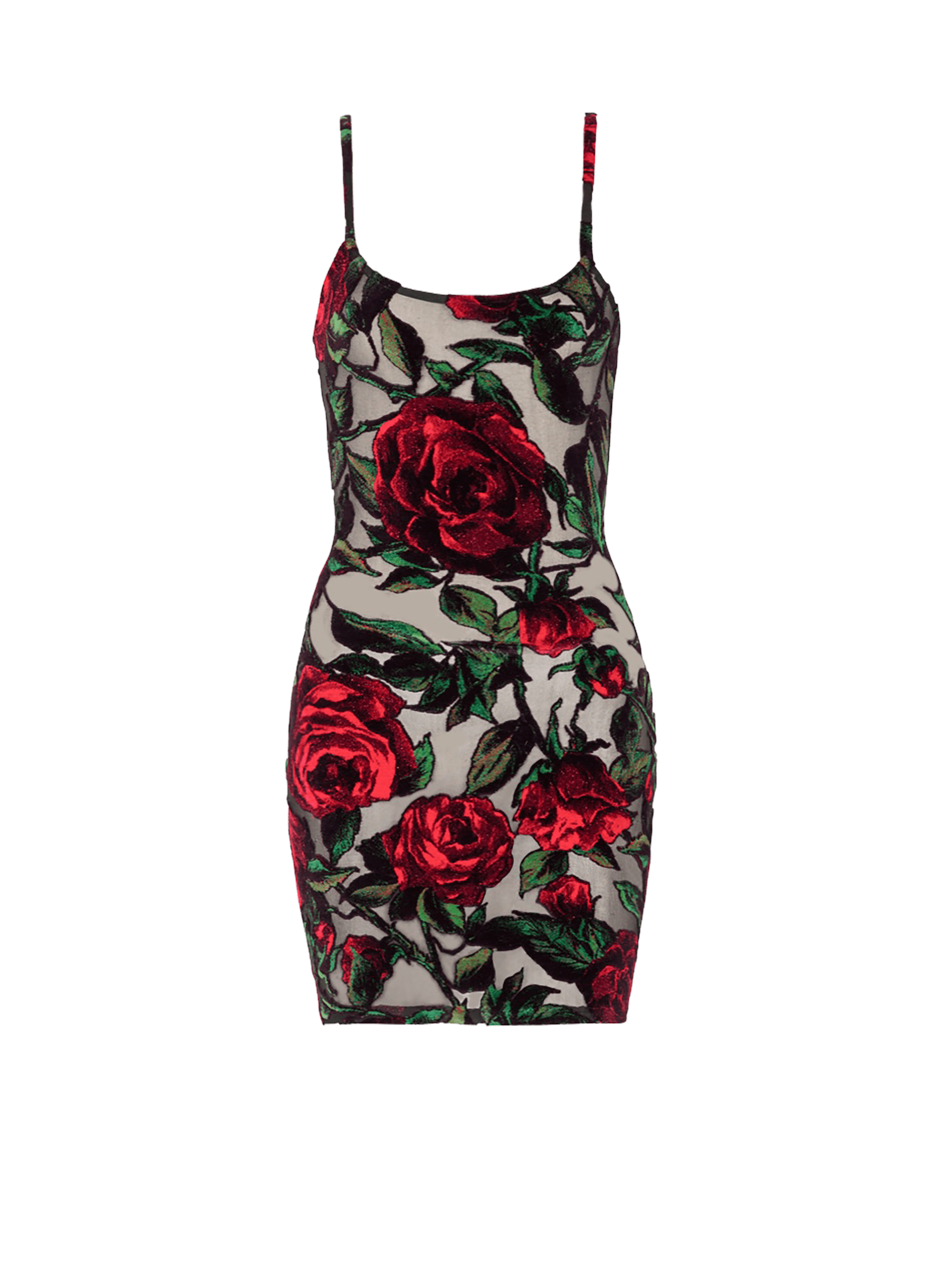 Burnout velvet dress with Rose print