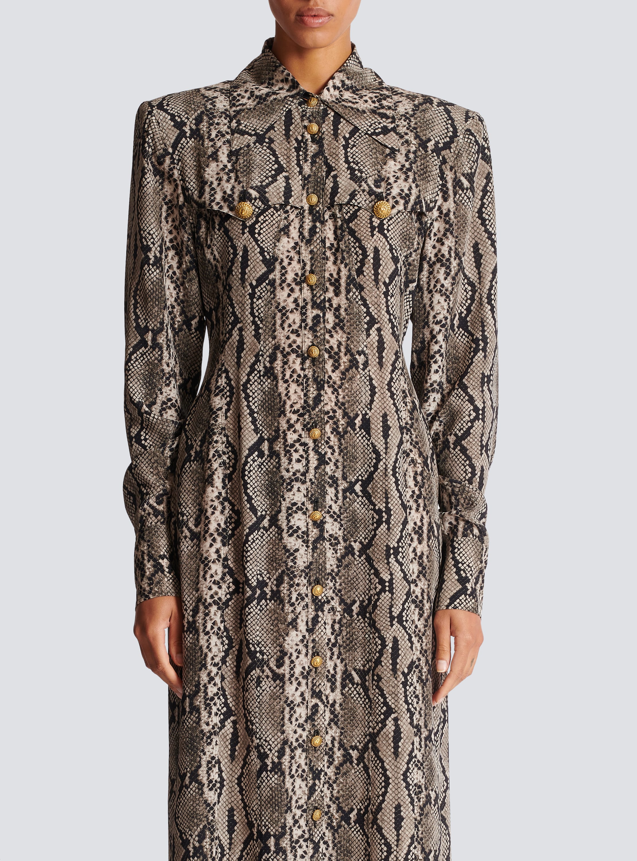 Snakeskin store shirt dress