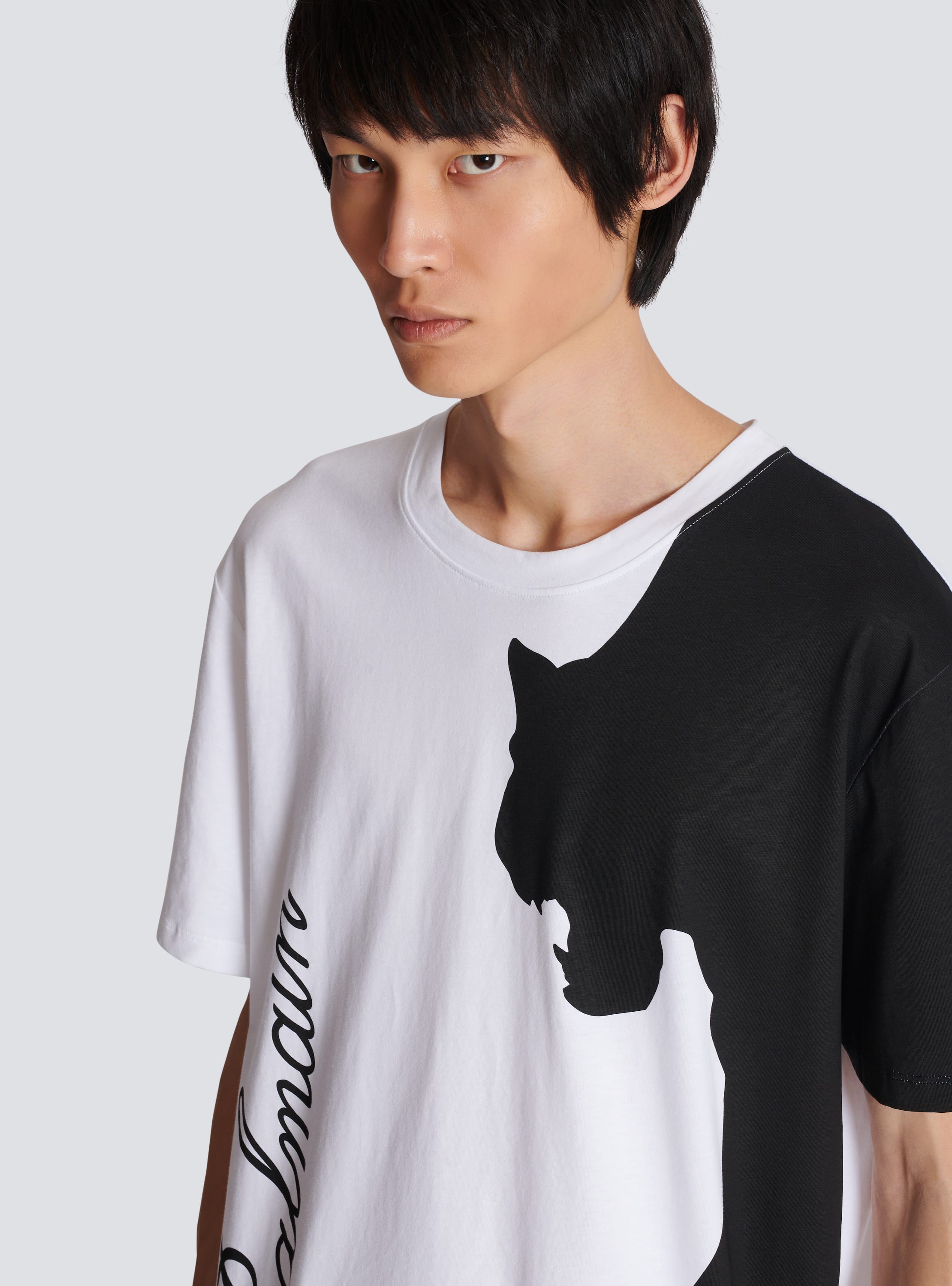 Balmain tiger 2024 t shirt