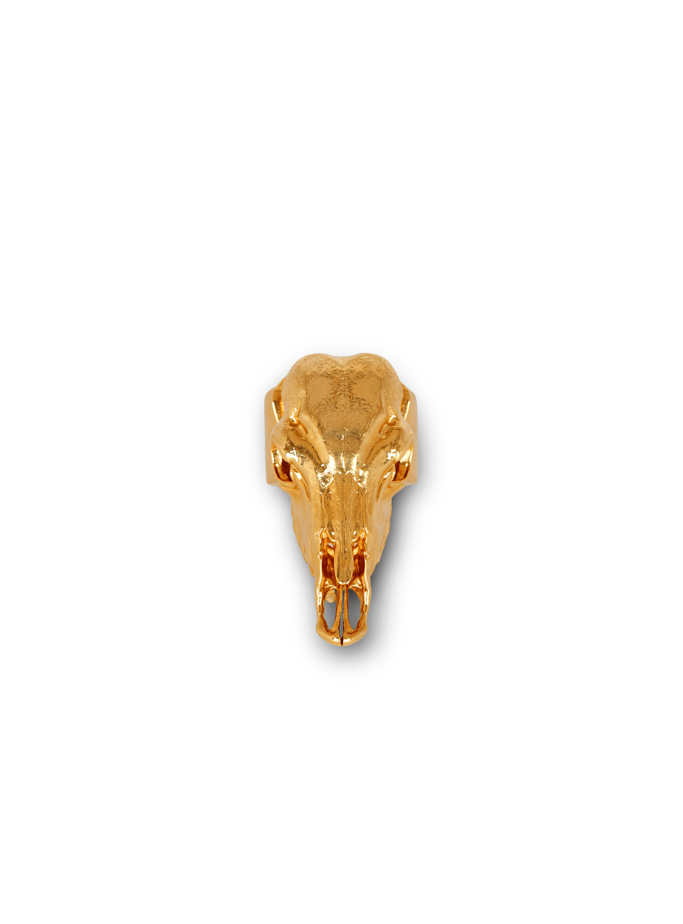 Buffalo skull ring