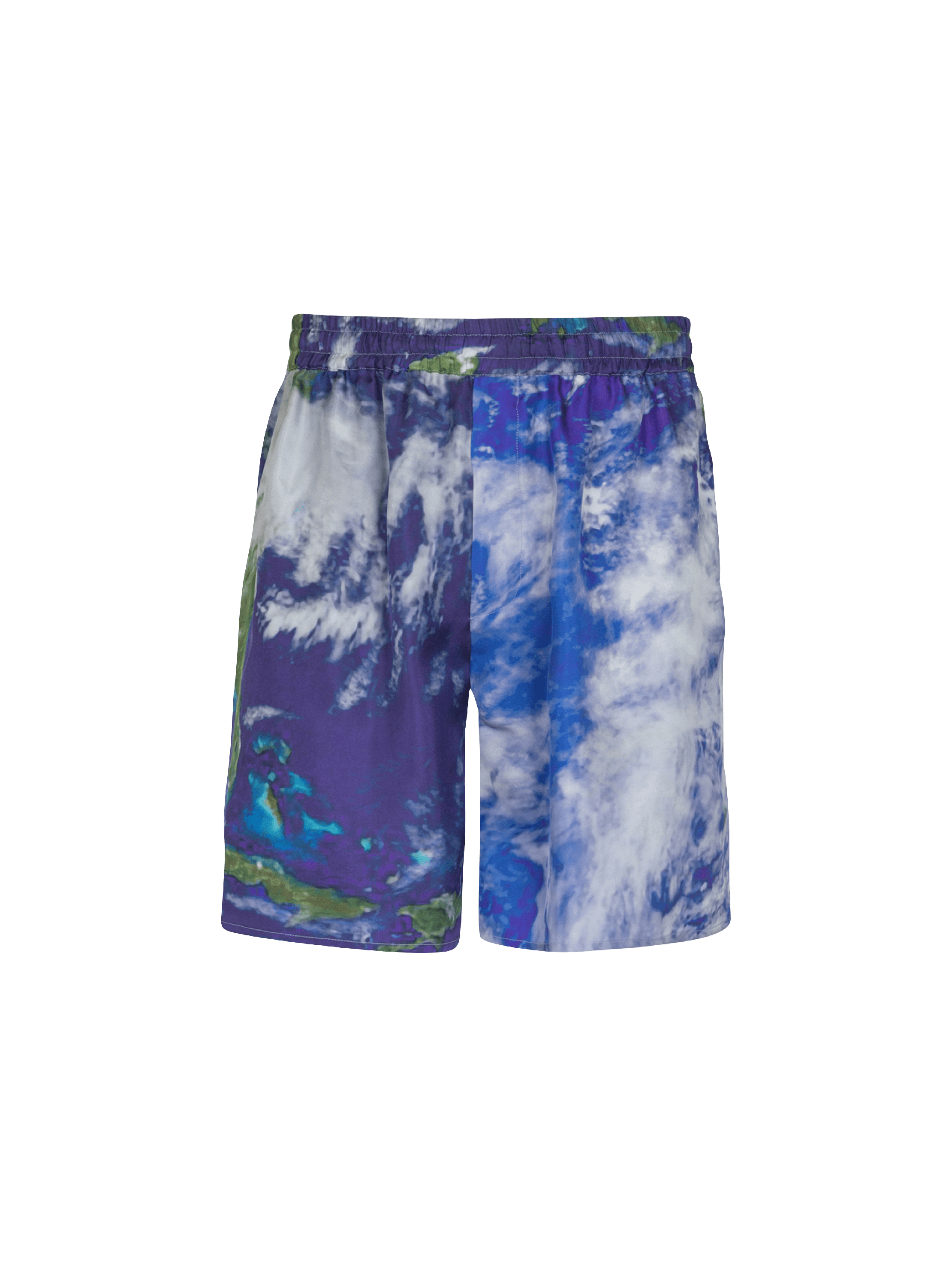 Silk shorts with Earth print